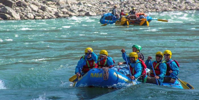 Trip Leader Assessments (up to Grade 4)